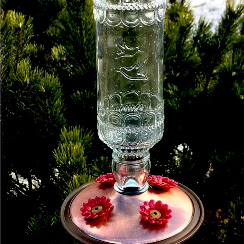 🐦Hummingbird Feeder. Clear glass.    Perfect used condition